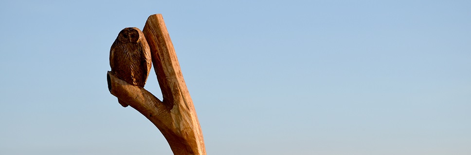 Chainsaw art in Frederick.