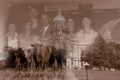 Graphic - Mapelli Family 1986
