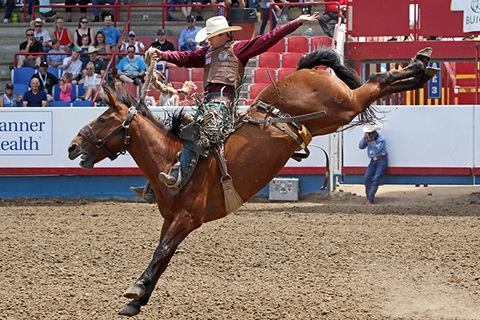 48233697606_288aecfb55_c_Stampede_web.jpg