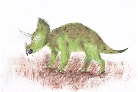 Kostenich Grigorii's life-like Triceratops drawing