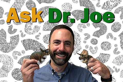 Ask Dr Joe