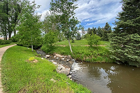 Houston Gardens.jpg